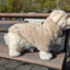 51 Degrees North Turtle Teddy - Nena's Pets 