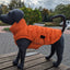 51 Degrees North Edge coat - Nena's Pets 