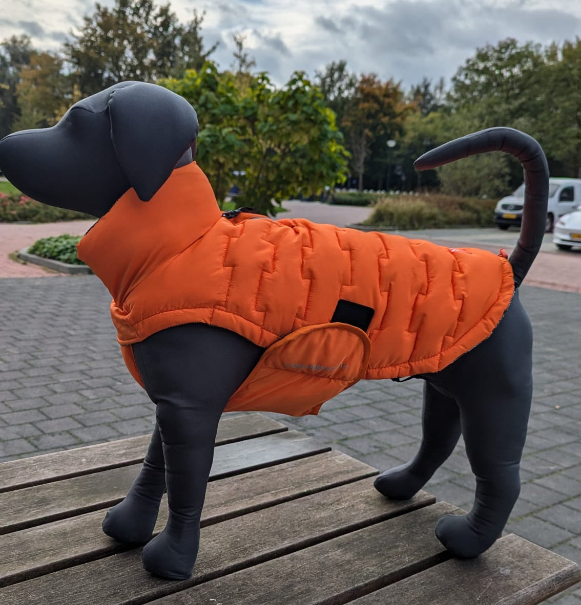 51 Degrees North Edge coat - Nena's Pets 