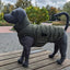 51 Degrees North Edge coat - Nena's Pets 
