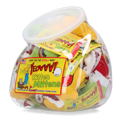 Yeowww! Jug kitten Mittens