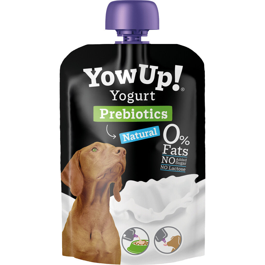 YowUp Yoghurt hond