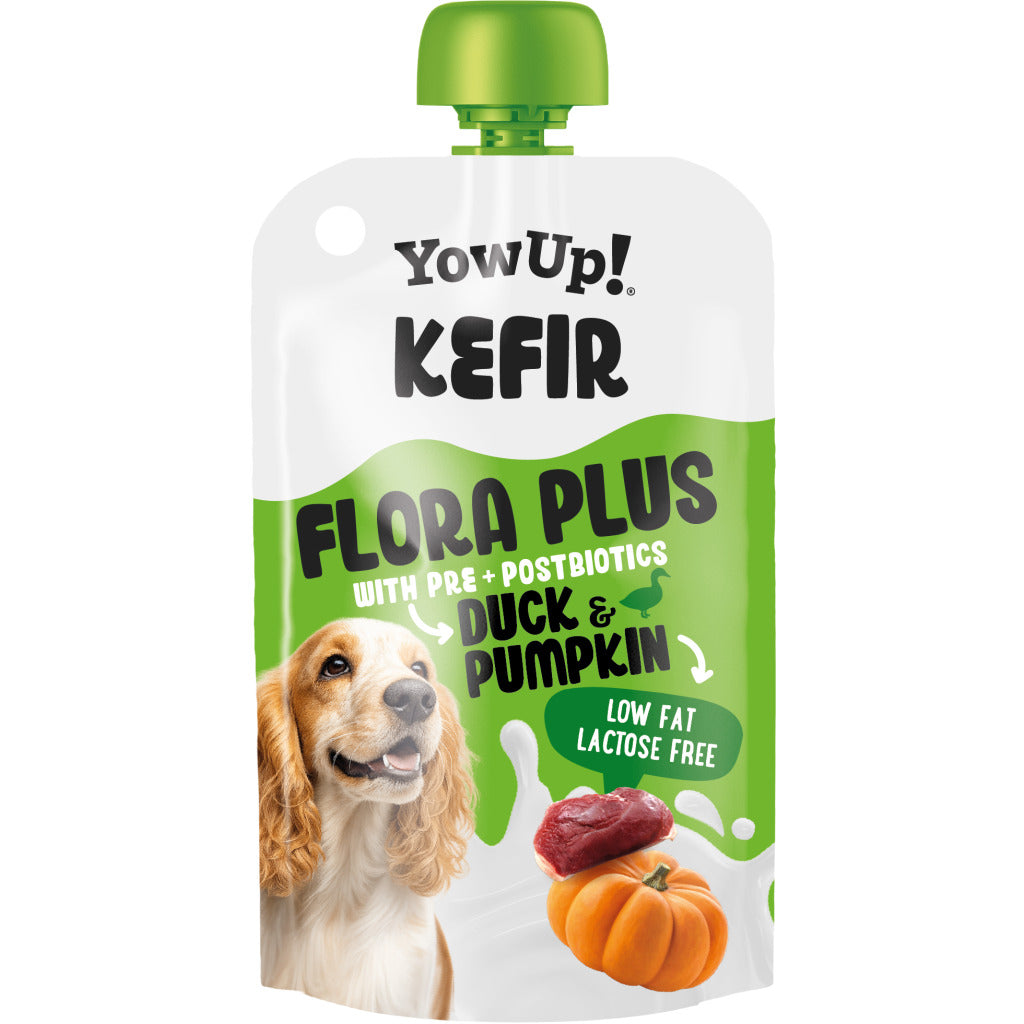 Yowup! Kefir Eend & Pompoen