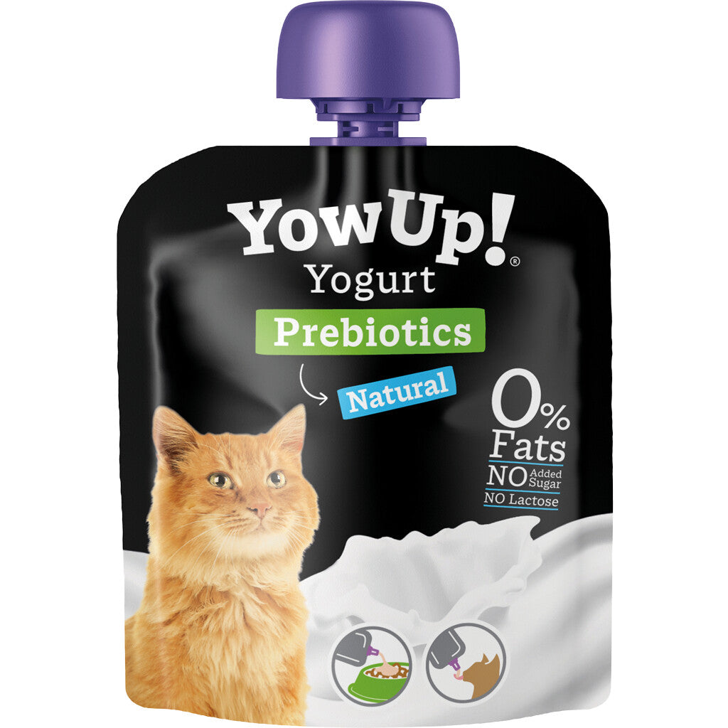 Yowup Yoghurt kat