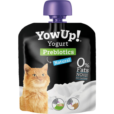 Yowup Yoghurt kat