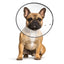 Zenpet E-Clear Plastic E-Collar M - Nena's Pets 