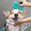 Kong hond zoomgroom bubbles
