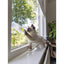 Beeztees Kitten Speelrail Windo