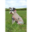 Bucas Freedom Dog Rug Regendeken
