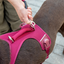 Curli New Belka comfort harnas