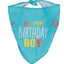 Adori Party! Verjaardagsbandana