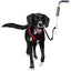 Fietsset - Nena's Pets 