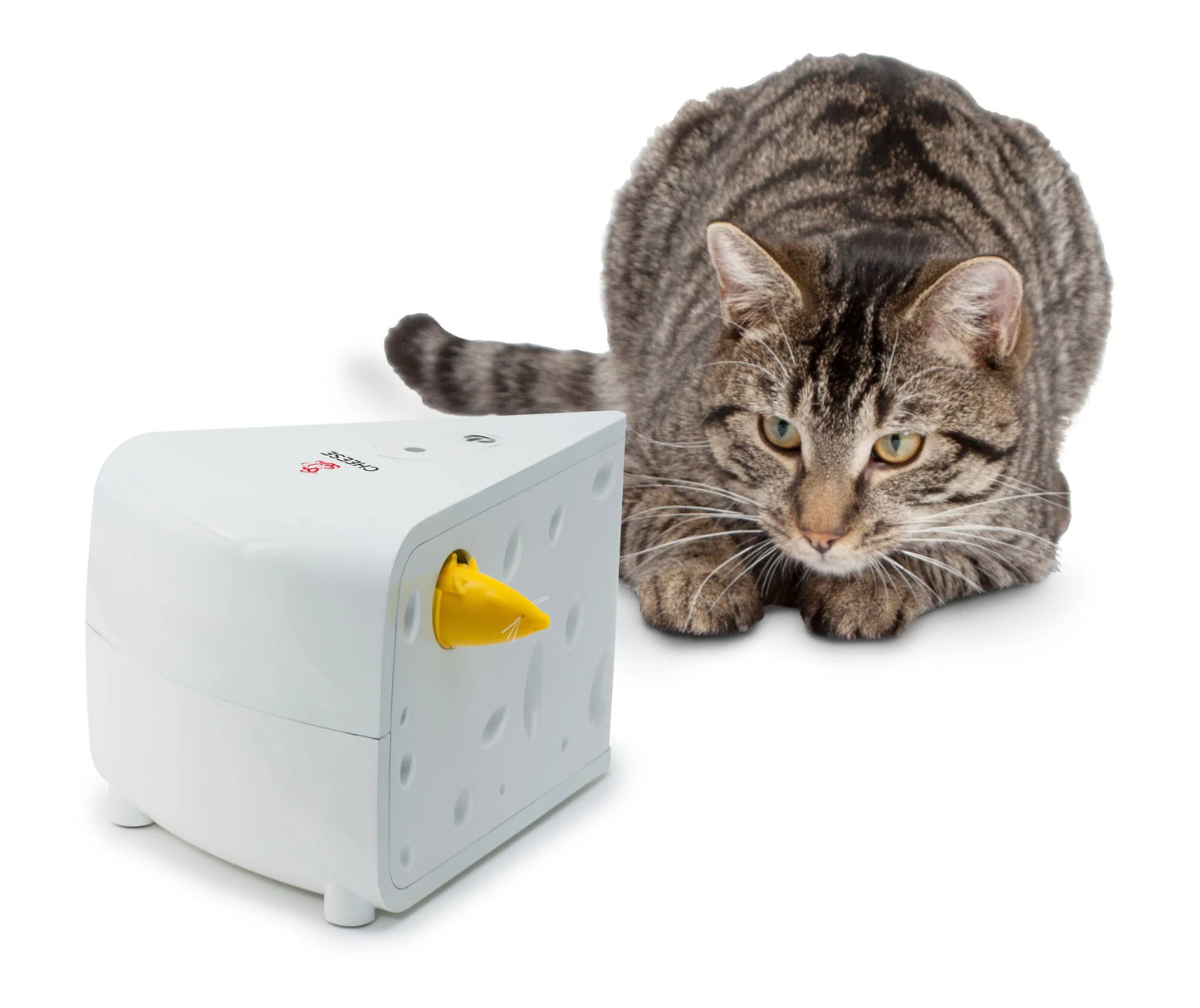 Petsafe Cheese™ Automatic Cat Teaser