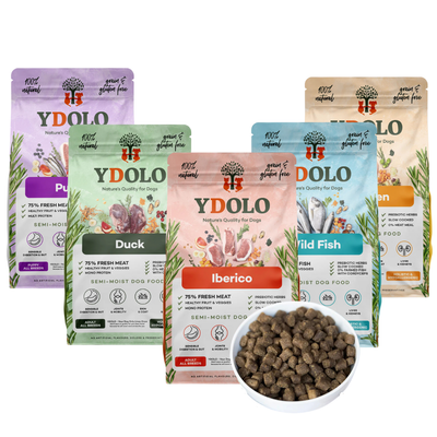YDOLO Healthy & Pure hondenvoer