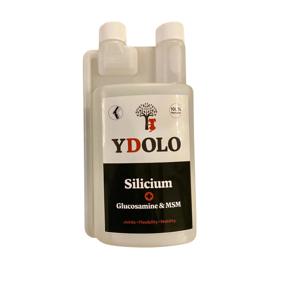 YDOLO – Flexibele gewrichten (SILICIUM + Glucosamine & MSM)