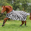 Bucas Buzz-off  Zebra & Neck