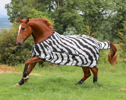 Bucas Buzz-off  Zebra & Neck