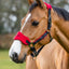 Lemieux Vogue headcoller