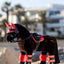 Toy Pony Bandages - Nena's Pets 