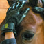 Hands On Glove