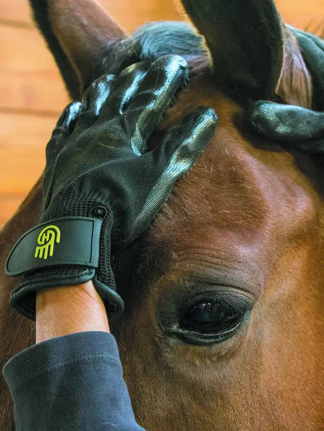 Hands On Glove