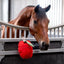 HB Showtime Horse toy