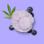 Nutriment hondenijs