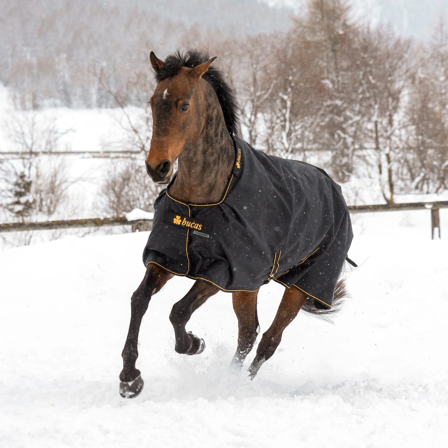 Bucas irish turnout 150gram