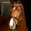Lemieux Arika Flash Bridle Full brown silver - Nena's Pets 