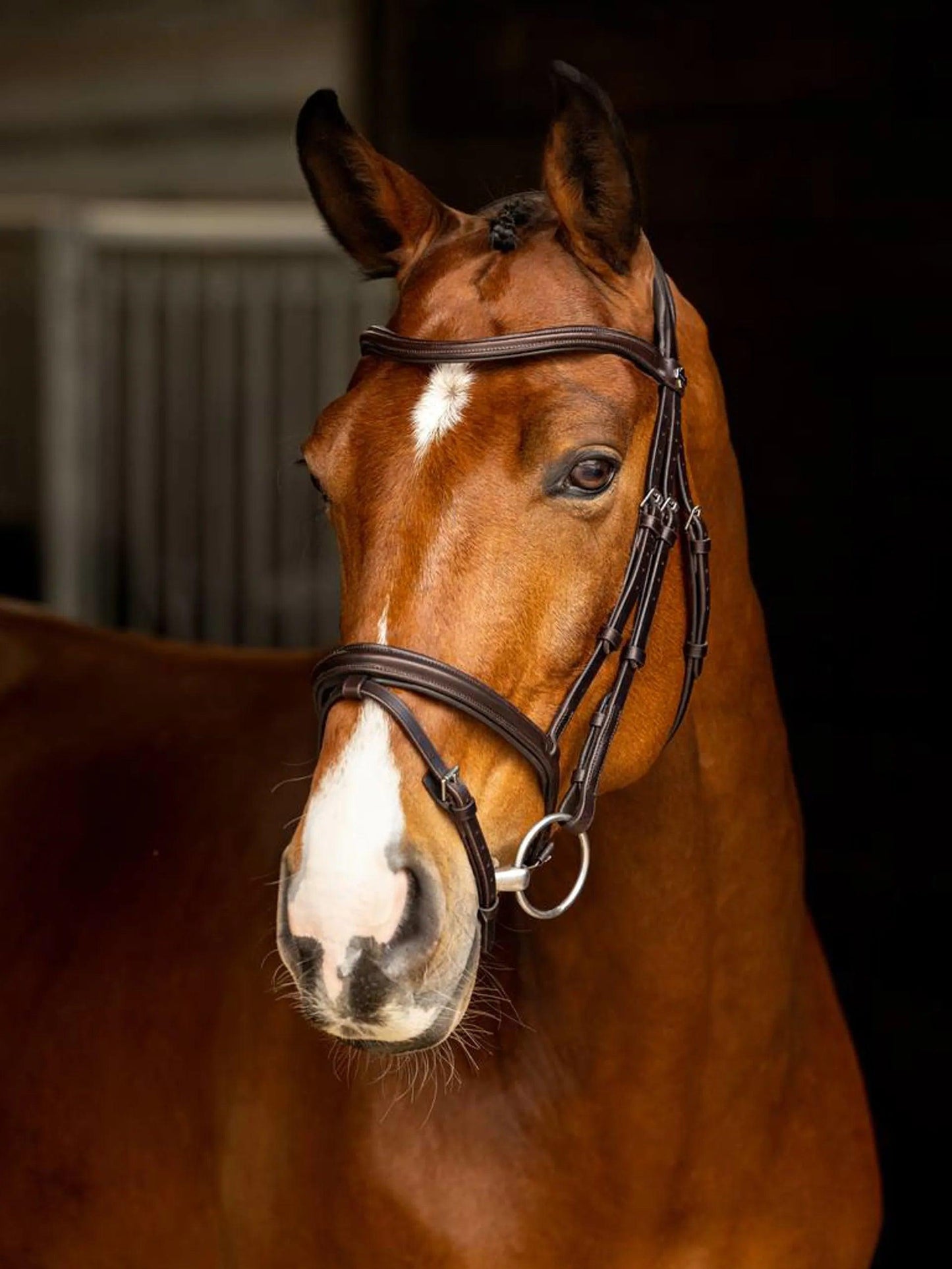 Lemieux Arika Flash Bridle Full brown silver - Nena's Pets 