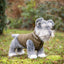Toy Puppy Puffer coat - Nena's Pets 