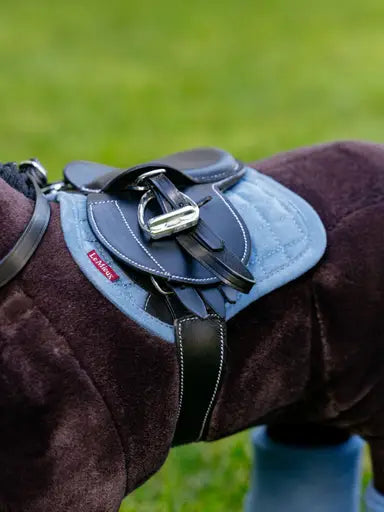 Toy pony Dekjes