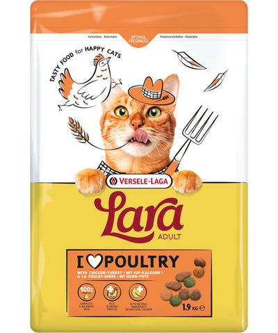 Lara Kattenbrok