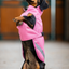 Bucas Freedom Dog Rug Regendeken