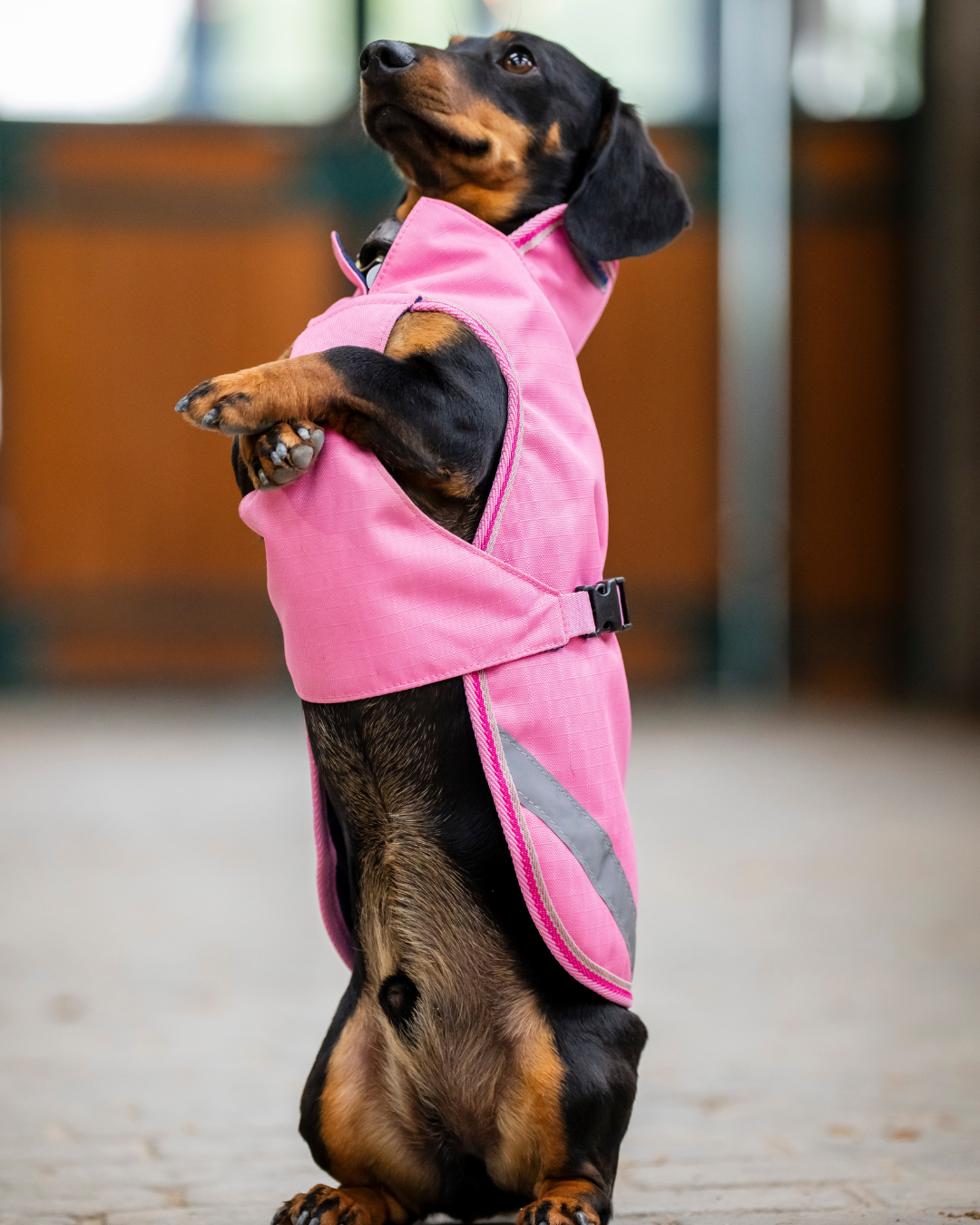 Bucas Freedom Dog Rug Regendeken