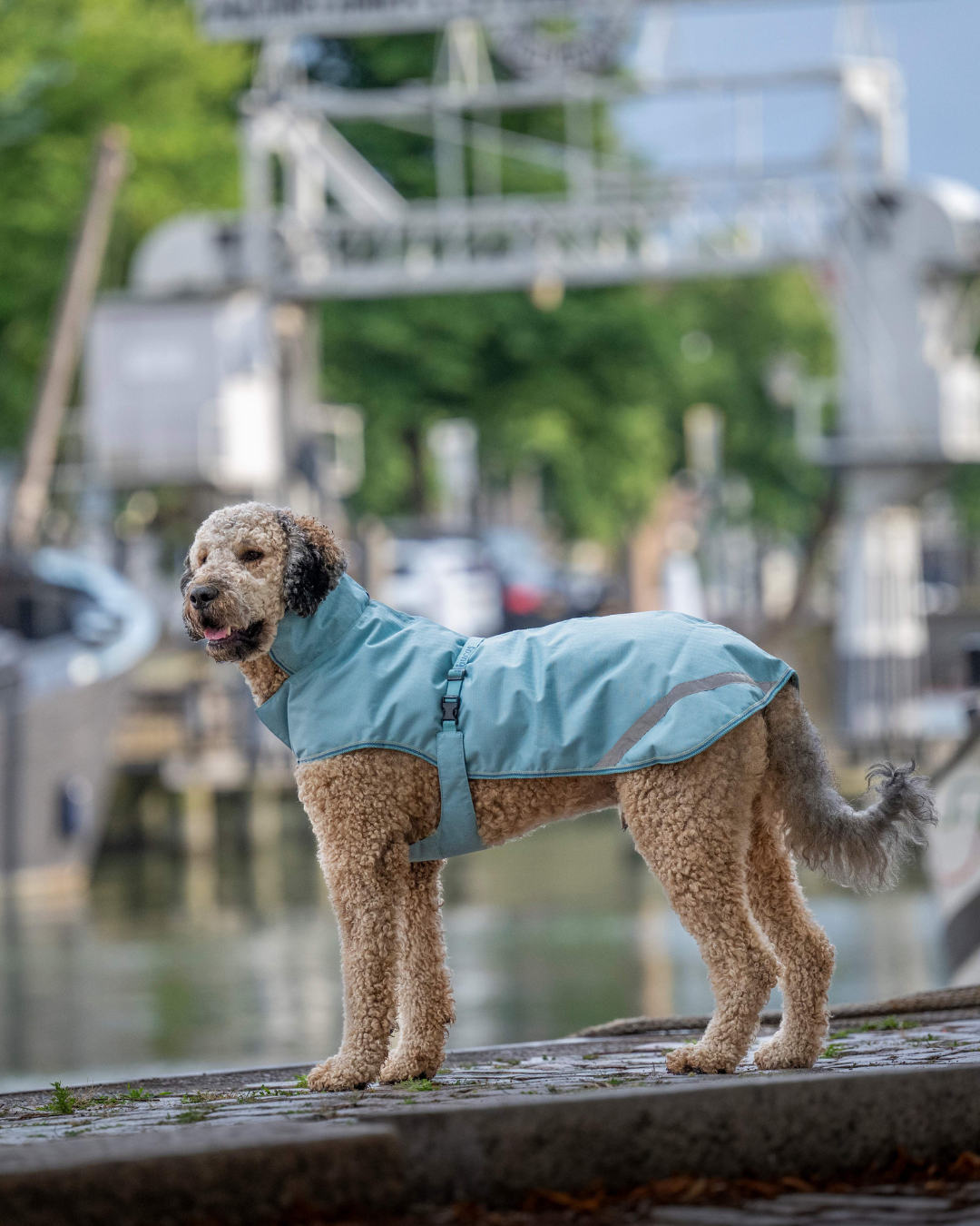 Bucas Freedom Dog Rug Regendeken