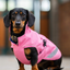 Bucas Freedom Dog Rug Regendeken