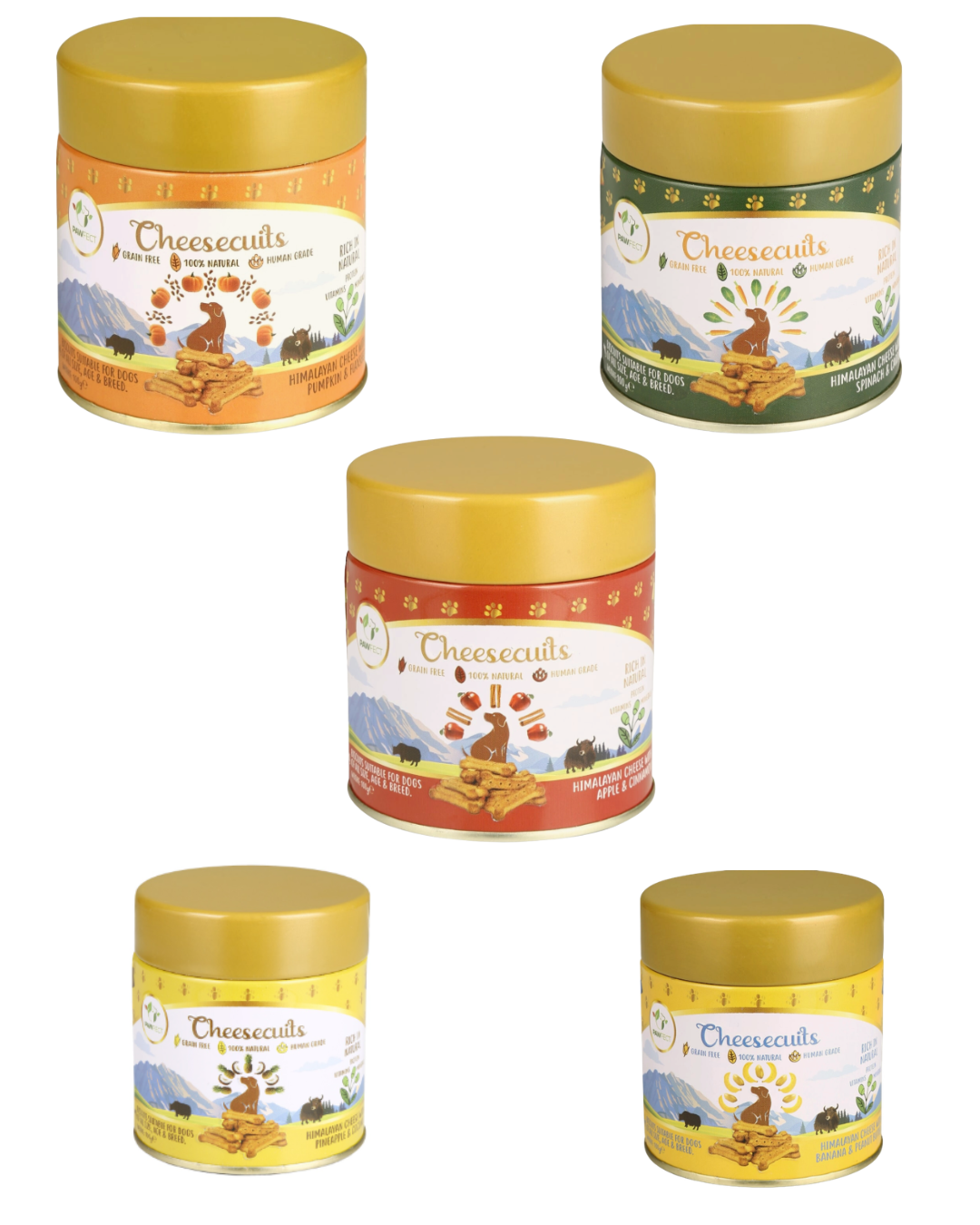 Pawfect Cheese biscuit