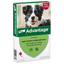 Advantage hond korting ivm datum
