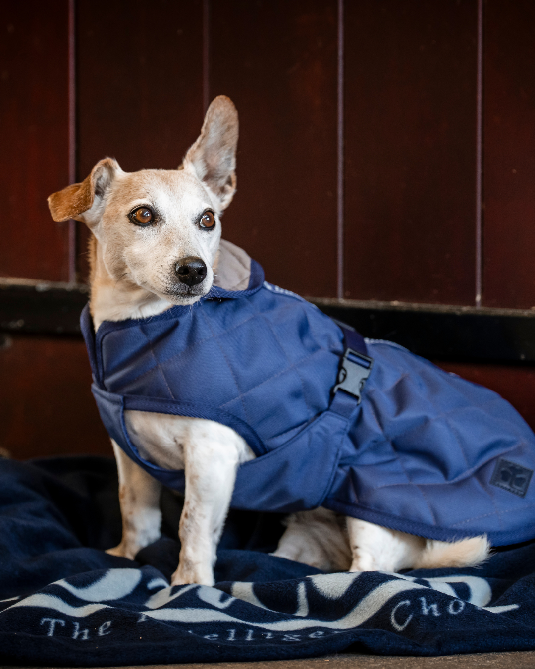 Bucas Cosy dog rug