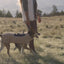 Ruffwear Timberline Fuse Fleece vest