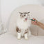 M-Pets Procare medicijndispenser