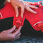 Ruffwear Webmaster Harnas