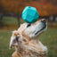 Ruffwear Gnawt a rock '25