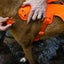 Ruffwear Webmaster Harnas