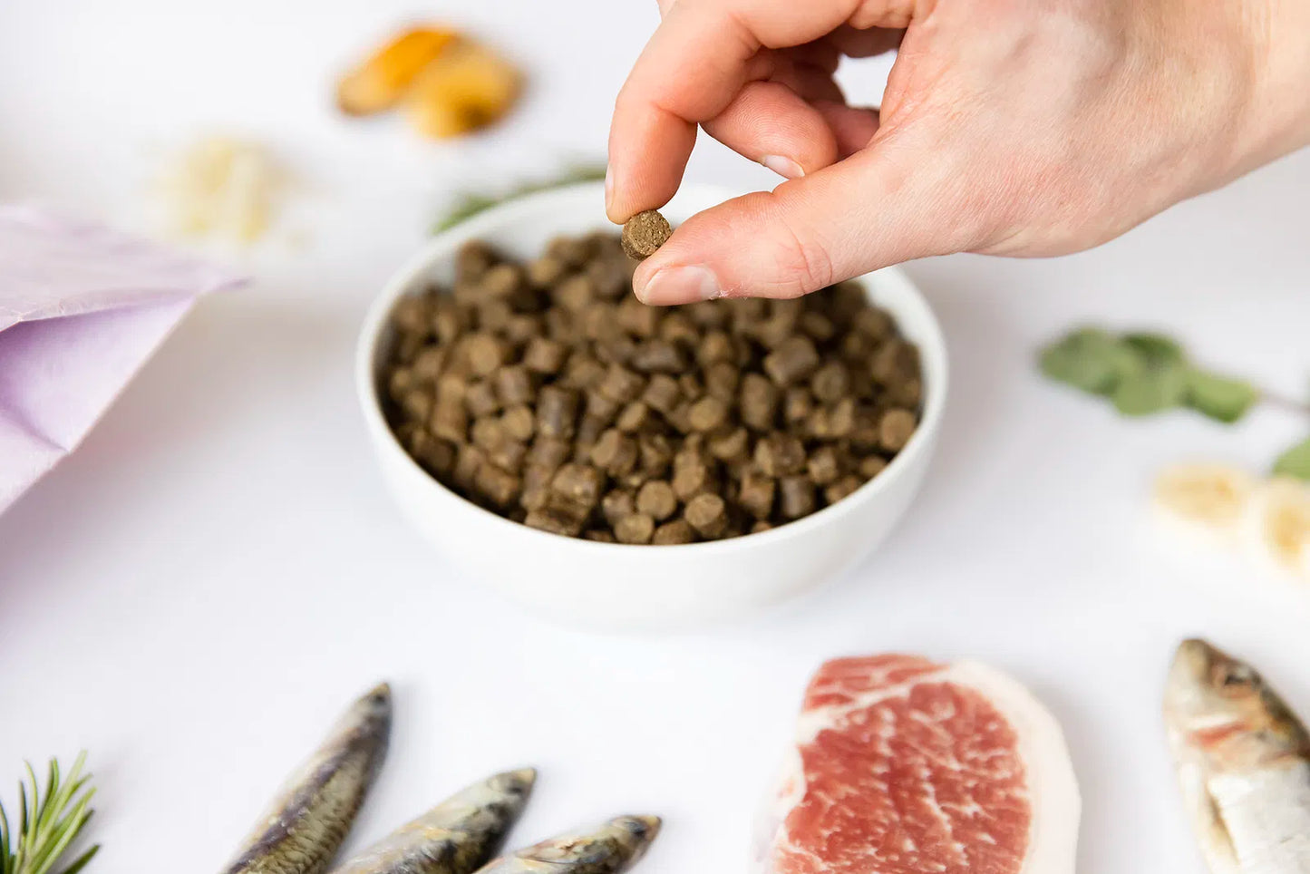 YDOLO Healthy & Pure hondenvoer