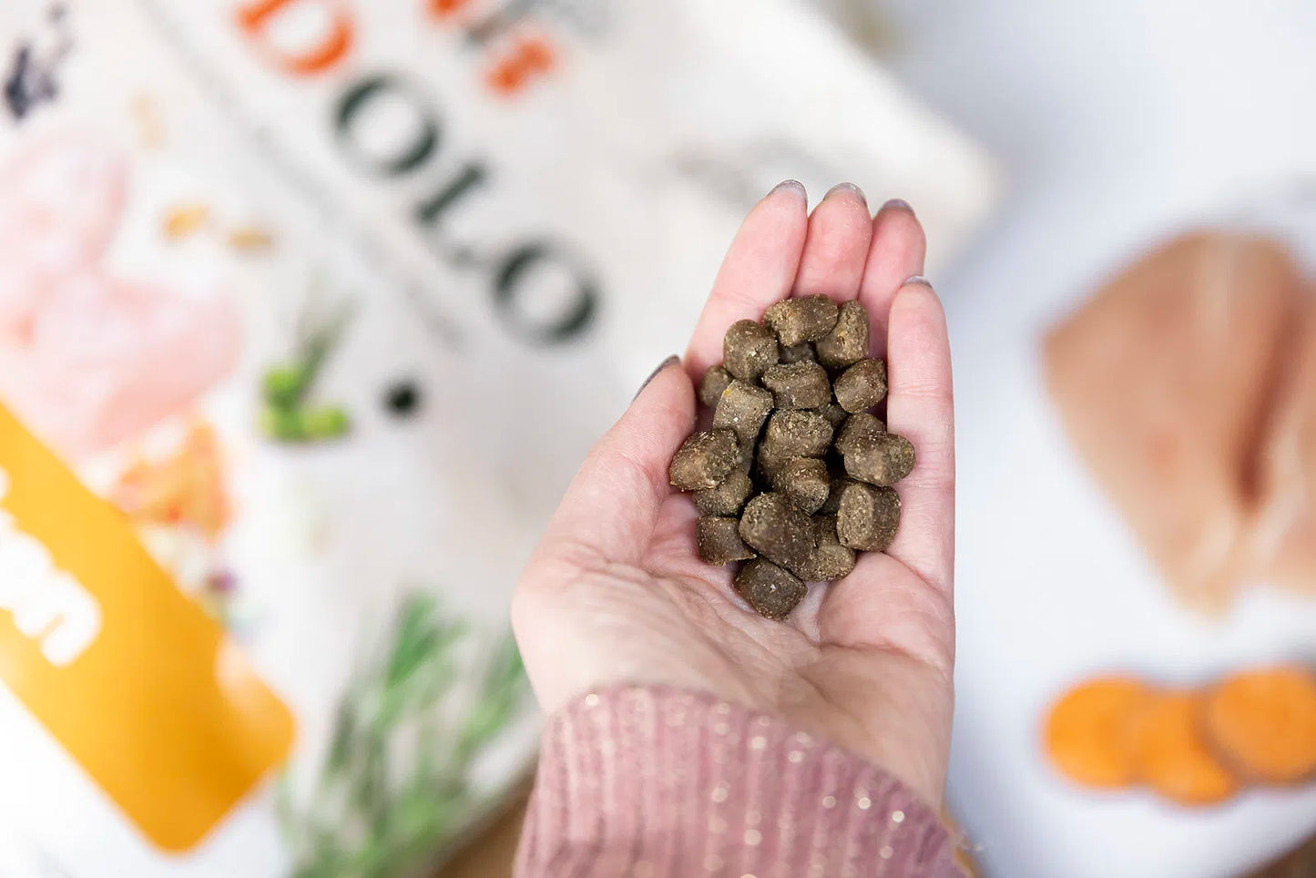 YDOLO Healthy & Pure hondenvoer